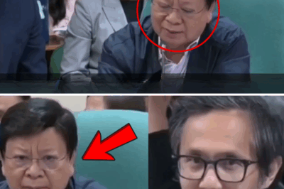 FEATURE ANALYSIS: ANG PANGANIB NG MGA ‘SCANDAL HEADLINES’ — Bakit Sila Marcoleta at Dizon ang Paboritong Biktima ng Fake News