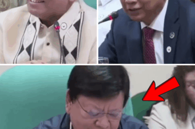 INVESTIGATIVE REPORT: ANG HIWAGA NG FAKE SCANDALS — Paggamit ng DOJ, Marcoleta, at Discaya sa Clickbait Machinery