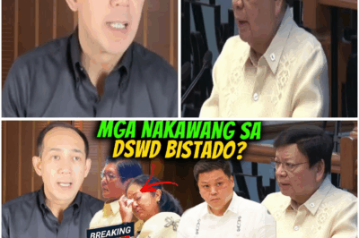 Kalokohan sa DPWH? Rex Gatchalian Napaatras sa Sunod-sunod na Tanong ni Sen. Marcoleta