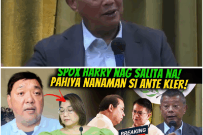 Nabiktima na Sana? Remulla May Matinding Pahayag, Nakatakdang Makipagpulong kay Romualdez