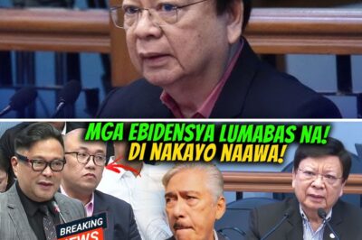 BISTADO NA! Ang Lihim na Paghatid sa Dating Pangulo sa The Hague, Inilantad ni Senator Marcoleta! LTO Chief, Tila Hindi Nakapalag sa Mainit na Pagtatanong?