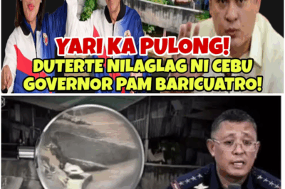 NAKAKAGULAT NA NADISKUBRE! SUBSTANDARD FLOOD CONTROL PROJECT SA DAVAO, PURO PALPAK NAMAN SA CEBU — MAY GHOST PROJECT PA UMANO!