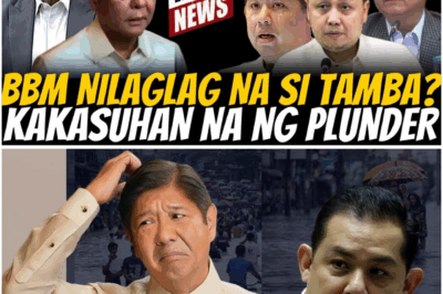 Umuugong na Balita: BBM Umano’y Nagsalita sa Isyung Kinasasangkutan nina Martin Romualdez at Zaldy Co?