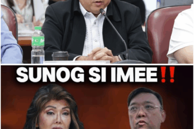 Pahayag ni Harry Roque, Umani ng Inggay: Bagong Pagbubunyag Umano sa Isyu Kaugnay ni Imee Marcos