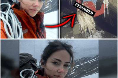 Climber Na Nawala sa Denali, Natagpuang Nakabaligtad sa Yelo Pagkalipas ng 3 Taon—At Ang Lihim na Iniwan Nya ang Nagpayanig sa Mundo