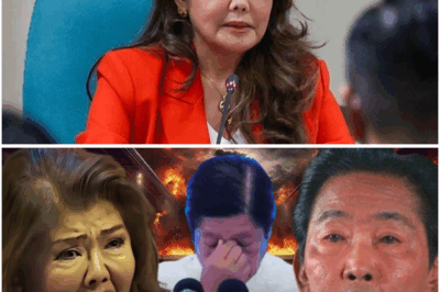 Nabunyag ang Matagal nang Nakaligtaang Liham ng Ama na Nagbigay ng Matinding Emosyon kay Senadora Imee