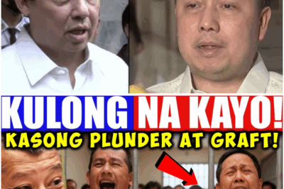 Mainit na Usapan: Romualdez at Co, Inuugnay sa Plunder at Graft Habang Lumalakas ang Panawagang Imbestigasyon