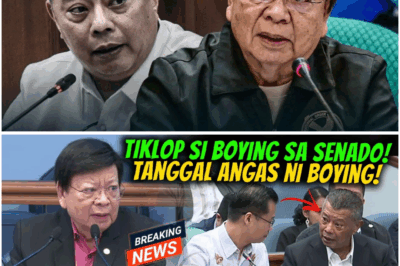 Matinding Sagupaan sa Pagdinig: Boying Remulla Natahimik sa Sunod-sunod na Tanong ni Sen. Marcoleta