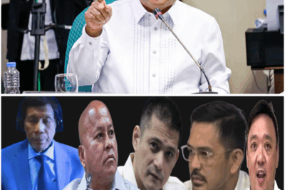 HARRY ROQUE NABUKING NA NAMAN! ROBIN PADILLA PINAGTAWANAN, HABANG BELGICA NAGPOST NG KALOKOHANG NAKATAKOT PA SA TAUMBAYAN!