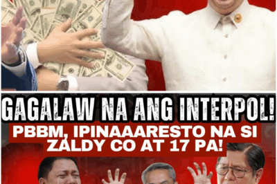 Matinding Balita: Uminit ang Publiko sa Umano’y Pagkakasangkot ni Zaldy Co at 17 Iba pa sa Isang International Alert