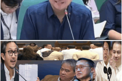 Mainit na Banggaan sa Senado: Pahayag ni Secretary Vince Dizon Nagpa-igting ng Pressure kina Bong Go at Villanueva