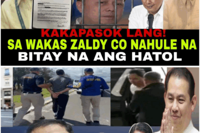 Kumikitang Balita Online: Umiikot na Haka-hakang Dakip kay Zaldy Co sa Japan, Umiinit ang Publikong Usapan