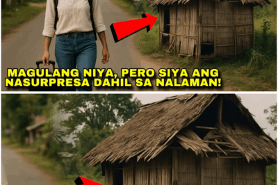 Dalagang Balikbayan Palihim na Umuwi Para Sorpresahin ang Magulang — Pero Siya ang Nasorpresa sa Inabutan sa Loob ng Bahay