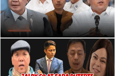 Umiinit ang Isyu: Umano’y Pagbabalik ni Harry Roque at Matapang na Pahayag ni Sandro Marcos Kaugnay kay Zaldy Co