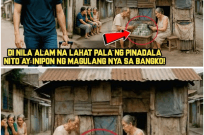 Binatang Anim na Taon Nang OFW, Pinagtawanan Dahil Barong-Barong pa Rin ang Bahay — Pero Nang Malaman ang Totoo, Tahimik ang Lahat