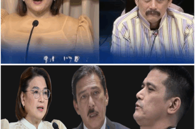 Mainit na Sagutan sa Senado: Robin Padilla, Tinuwid ni Tito Sotto sa Isyu ng Pagtatalakay sa Batas
