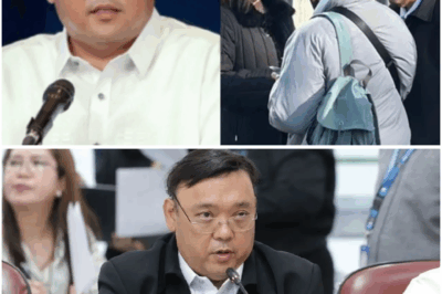 Pag-offload umano kay Harry Roque sa Netherlands, nagdulot ng matinding ingay at tanong sa publiko