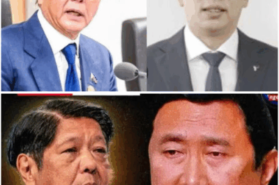 Malakas na Babala mula sa Philippine Chamber of Commerce and Industry: Posibleng Pagbagsak ng Tiwala sa Administrasyong Ferdinand “Bongbong” Marcos Jr.?