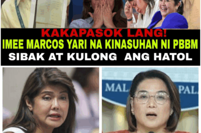 Kakapasok Lang! Imee Marcos, Dakip sa Senado, Kinasuhan na ni PBBM—Posibleng Kulong at Sibak Hatol
