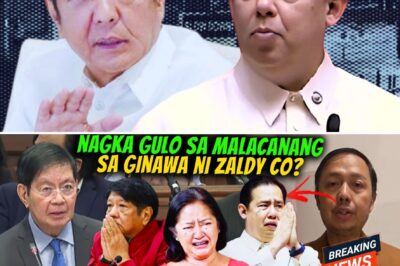 “The Masterminds”: Resigned Chair Zaldy Co Implicates President Marcos, Romualdez in Massive Budget Scandal