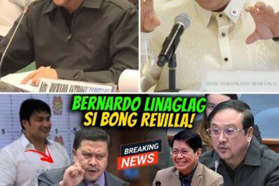 ‘I Had to Come Clean’: Whistleblower Unleashes Bombshell Affidavit, Implicating Senators Revilla, Binay, Escudero, Estrada, and DPWH Chiefs in Massive ‘Commitment’ Scheme