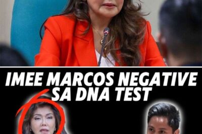 Political Betrayal and the DNA Dare: Sandro Marcos Fires Back at Imee’s ‘Web of Lies’ Amid Shocking Family Rift