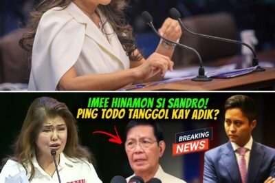 The Integrity Challenge: Prominent Political Figures Clash Over Public Accountability and Personal Verification