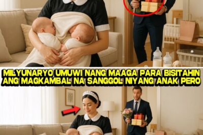 Ang CEO na Laging Wala at ang Pagbagsak ng Kanyang Tahanan: Paano Binago ng Isang Taga-alaga ang Lahat