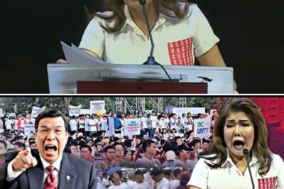 The Unexpected Retreat: How Senator Imee Marcos’s Shocking Personal Claims Forced an Abrupt End to the