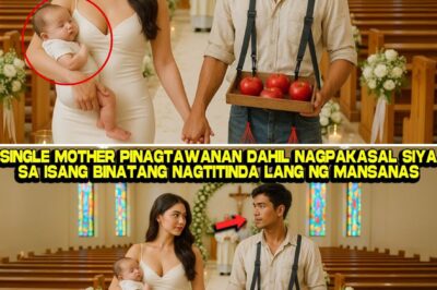 Mula sa Putikan ng Palengke Hanggang sa Ginto ng Mansyon: Ang Tunay na Kwento ng Isang Single Mom at ang Misteryosong Prinsipe ng mga Mansanas