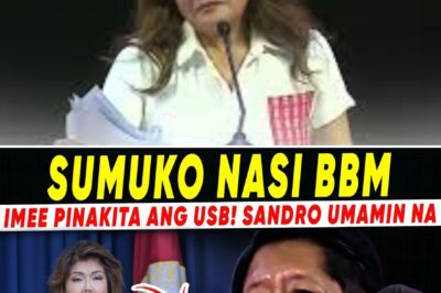 Palace Under Siege: Sandro Faces the Ultimate Screening While Imee’s ‘Digital Evidence’ Threatens to Topple the Administration