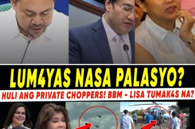 Panic at the Palace? Mysterious Flights and Explosive Allegations Spark rumors of a Crumbling Administration