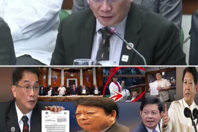 Justice Department Steps Forward: Prosecutor Fadullon’s Testimony Challenges Marcoleta’s Narrative in Senate Showdown