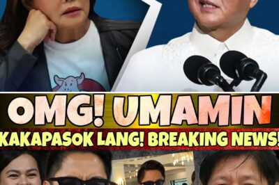 Fractured Dynasty: Senator Imee Marcos Allegedly Confirms Explosive Claims Against the President Amidst Crumbling Political Alliances