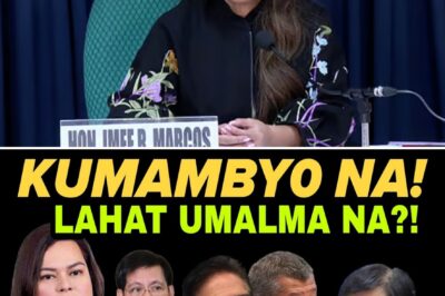 SHOCKING TWIST: TOP OFFICIALS ALLEGEDLY WALK AWAY AS A MASSIVE CONTROVERSY ROCKS THE PALACE AND ALL EYES SUDDENLY TURN TO THE VICE PRESIDENT FOR AN UNEXPECTED LEADERSHIP SHIFT THAT NO ONE SAW COMING!