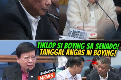 Judicial System Under Fire: Explosive Senate Hearing Uncovers Alleged Retroactive Manipulation of Corruption Cases and a ‘Bend the Rules’ Philosophy That Threatens the Rule of Law in the Capital