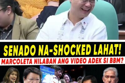 Unprecedented Political Earthquake Rocks Southeast Asian Nation: The President’s Own Sister Unleashes a Devastating, Unverified Personal Claim That Threatens to Topple National Confidence and Expose a $32 Million Gold Sale Controversy