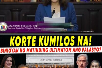 Supreme Court Issues Mandamus on Flood Control, Forging a High-Stakes Path Between Development and Environmental Law