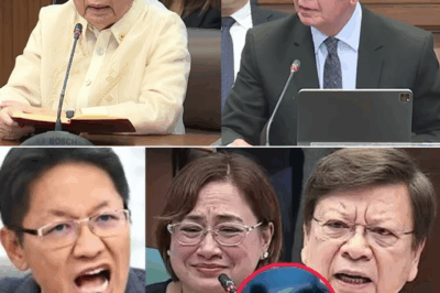 Senate Hearing Nagulantang: Testigo Naglabas ng Video nina Marcoleta at Sarah Discaya, Relasyon Umano Nabisto Habang Umiinit ang Pagtatalo sa DOJ