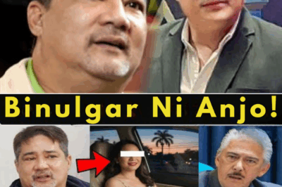 ANJO YLLANA NAGLABAS NG MATINDING PASABOG KAY “TITO SEN” — BINUKING UMANO ANG TAGONG KABIT NOONG 2013 AT NAGDEKLARANG “DDS NA AKO!”