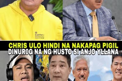 Anjo Yllana, Tuluyang Naglabas ng Matitinding Paratang Laban Kina Tito Sotto at Vic Sotto: “May mga Lihim sa Likod ng Eat Bulaga!”