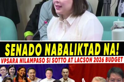 The Courtesy of Power: Senate Grants Unprecedented Political Deference to VP Sara Duterte, Cementing Her Unassailable Position Ahead of 2028