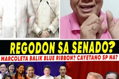Political Civil War: Cayetano’s Surge Threatens Senate Leadership Amid Explosive Claims of ‘Grand Design’ to Shield Trillion-Peso Corruption Mastermind