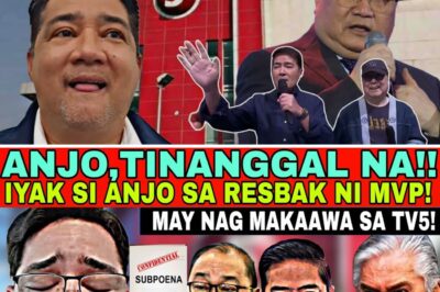 Political Kamikaze: Anjo Yllana’s Career Explodes in Public Feud, Culminating in Symbolic Erasure by TVJ and Direct Boycott Threat Against Billionaire MVP