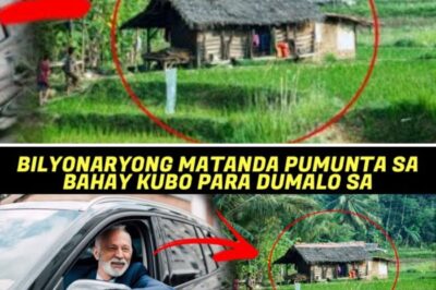 Ang Sikreto sa Kaarawan ng Janitor