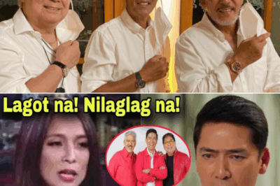 Pia Guanio, Nagsalita na: Inilabas ang Matinding Lihim ng TVJ at It Bulaga, Pinagtulungan sa Social Media at Personal na Buhay