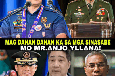 Matindi! Anjo Yllana, binatikos ang PNP at AFP—binalaan daw ang gobyerno kaugnay sa kaso ni Sen. Bato Dela Rosa
