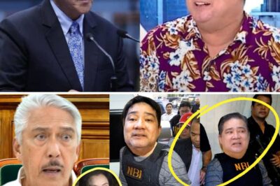 THE ULTIMATE BETRAYAL: ANJO YLLANA DROPS NUCLEAR BOMBSHELL ON TITO & VIC SOTTO—ALLEGED SECRET LOVE TRIANGLE WITH EAT BULAGA CO-HOST LEADS TO LAWSUIT AND PROMISE OF CONCRETE EVIDENCE