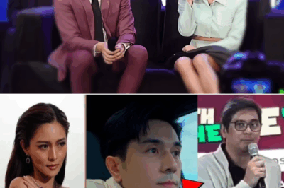 Direk Lawrence, Nagsalita: Paulo Avelino Balak Nang Umatras sa Mga Proyekto Dahil sa Kawalan ng Respeto ng Ilang Tagahanga