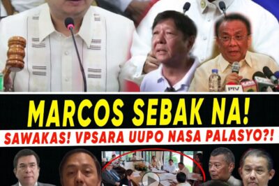 NAGKAGULO NA! Zaldy Co “Kumanta Na,” Itinuro si Pangulong Marcos; VP Sara, Handa na Umanong Pumalit sa Nov 17?